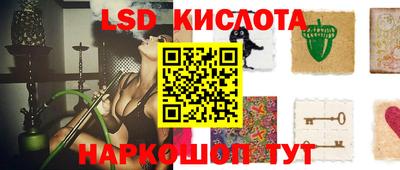 крисы Берёзовский