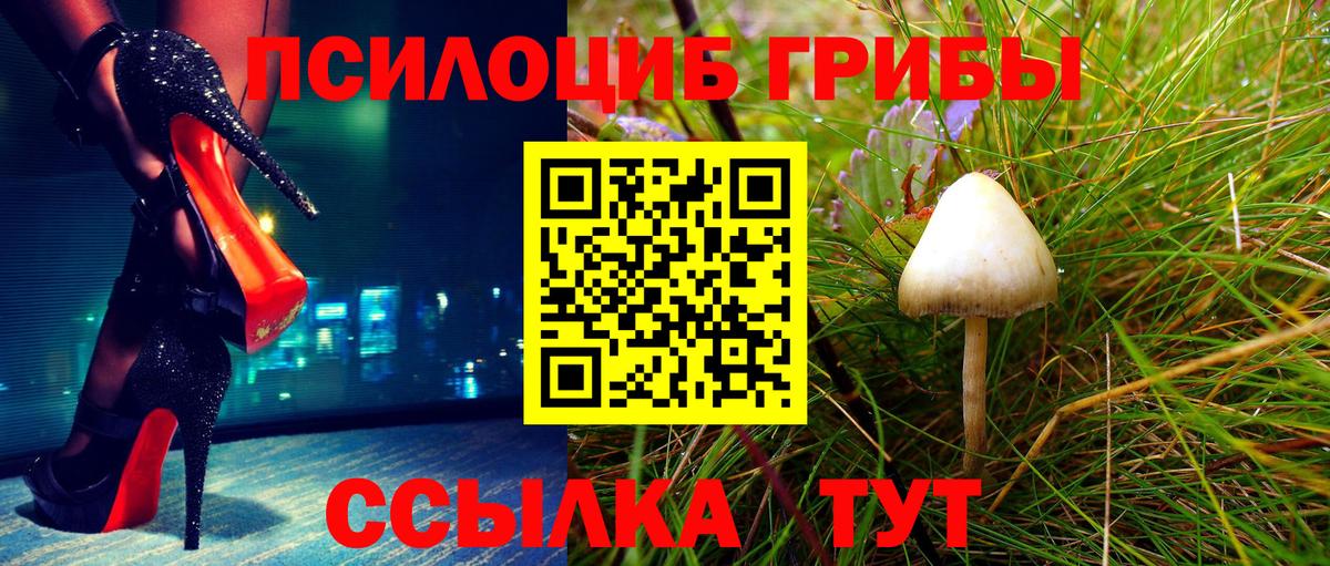 Вязьма  Псилоцибиновые грибы мицелий  дарнет шоп  Вход с VPN  Псилоцибиновые грибы мухоморы 